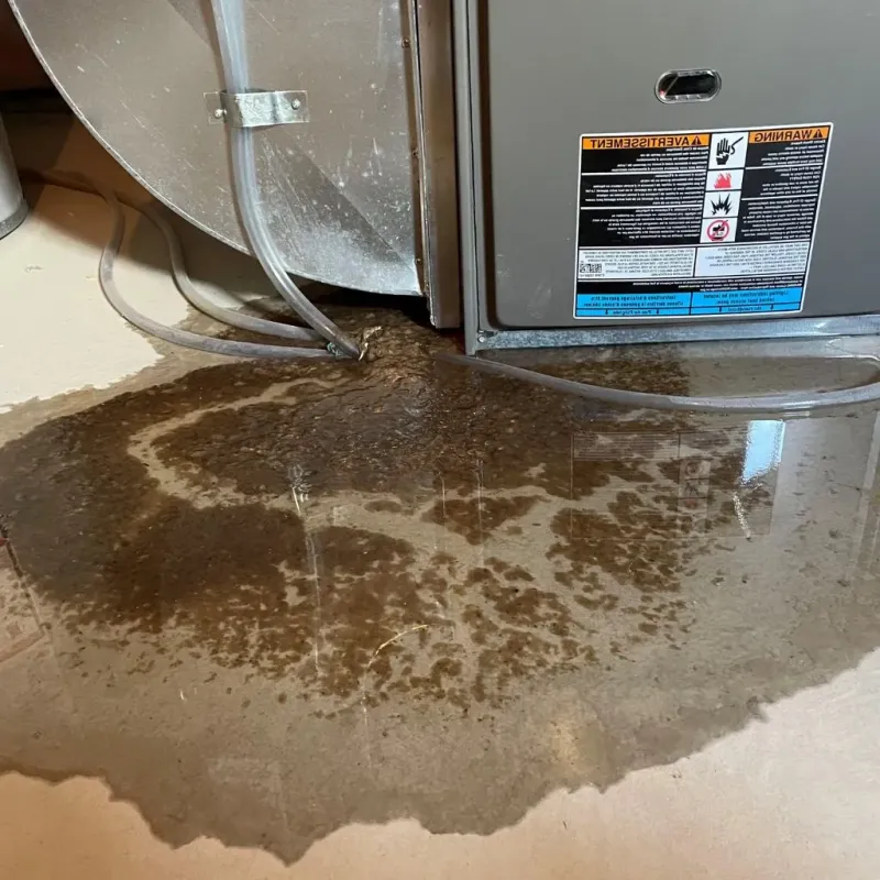 Pipe Burst and Leak Restoration in Archer Lodge, NC