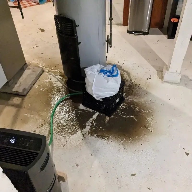 Sewage Backup Cleanup Service in Archer Lodge, NC